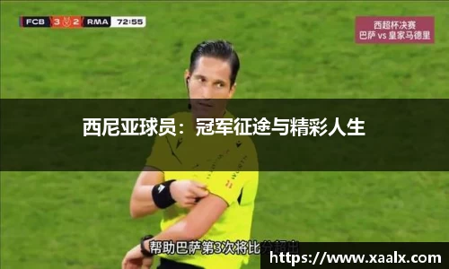 西尼亚球员：冠军征途与精彩人生